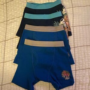 Jurassic Park Blue Boxer Briefs